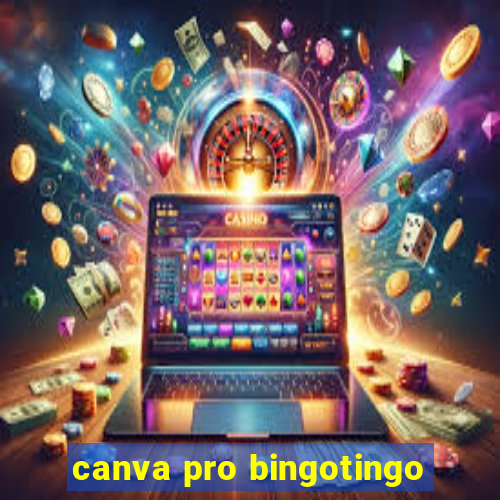 canva pro bingotingo